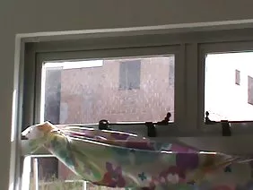 Cumshots і сперму придурок